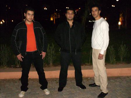 los lobos